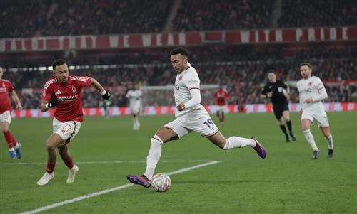 Shop Betting Guide for Homeowners